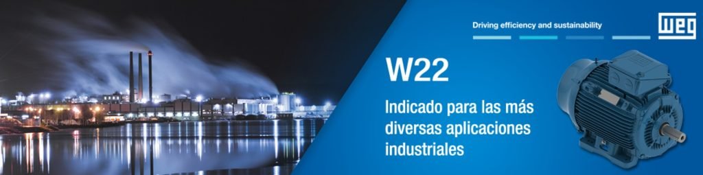 Motores electricos W22